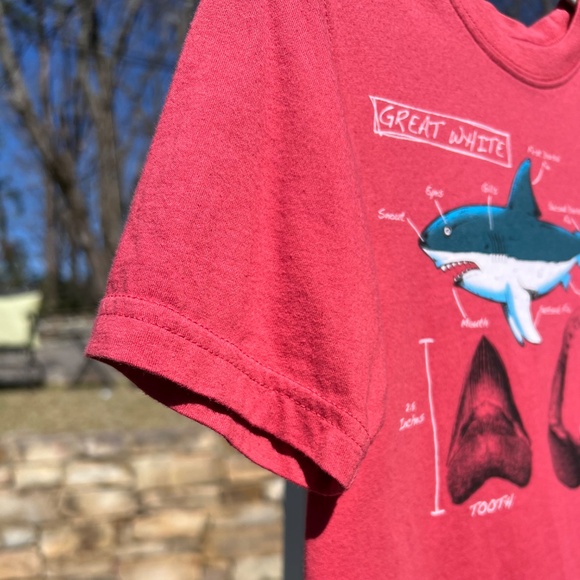 Great White Short Sleeve Tee Shirt - Picture 4 of 13